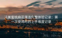 天美蜜桃麻花果冻完整体验记录：第一次使用时的上手难度记录