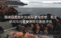 围绕白虎图片的实际使用感想：稳定访问与日常使用的可靠性评估