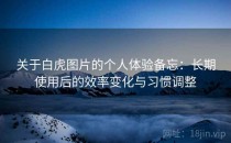 关于白虎图片的个人体验备忘：长期使用后的效率变化与习惯调整