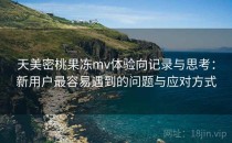 天美密桃果冻mv体验向记录与思考：新用户最容易遇到的问题与应对方式