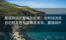蘑菇网站完整体验记录：长时间浏览后的稳定性与流畅度表现，蘑菇网片