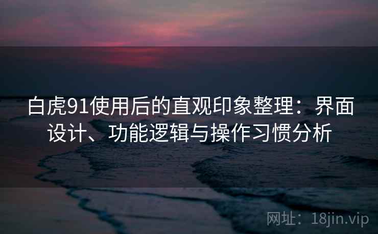 白虎91使用后的直观印象整理：界面设计、功能逻辑与操作习惯分析  第1张