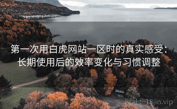 第一次用白虎网站一区时的真实感受：长期使用后的效率变化与习惯调整  第2张