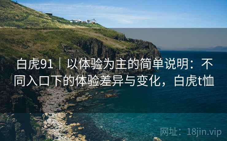 白虎91｜以体验为主的简单说明：不同入口下的体验差异与变化，白虎t恤  第2张