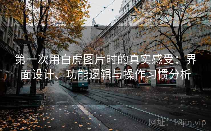 第一次用白虎图片时的真实感受：界面设计、功能逻辑与操作习惯分析  第2张