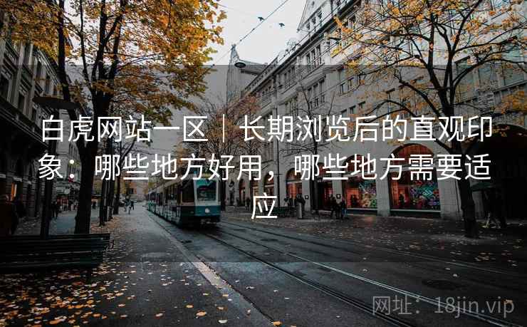 白虎网站一区|长期浏览后的直观印象:哪些地方好用,哪些地方需要适应 第2张 白虎网站一区|长期浏览后的直观印象:哪些地方好用,哪些地方需要适应 第2张