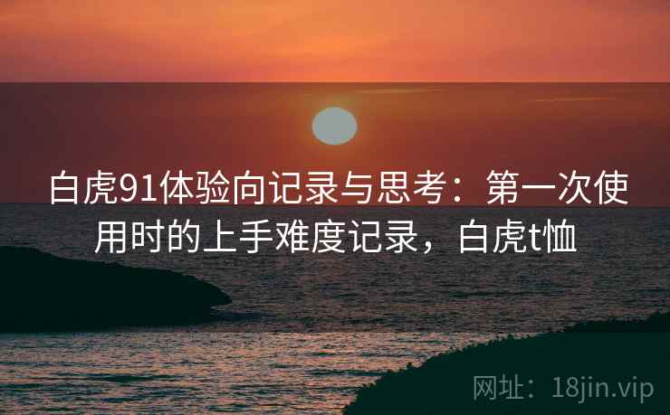白虎91体验向记录与思考:第一次使用时的上手难度记录,白虎t恤 第2张 白虎91体验向记录与思考:第一次使用时的上手难度记录,白虎t恤 第2张