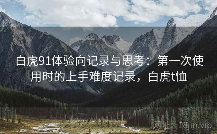 白虎91体验向记录与思考:第一次使用时的上手难度记录,白虎t恤 第1张 白虎91体验向记录与思考:第一次使用时的上手难度记录,白虎t恤 第1张