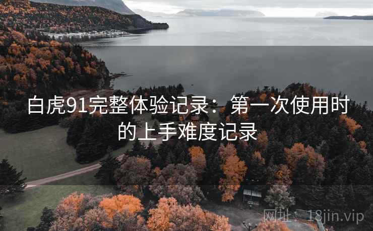 白虎91完整体验记录：第一次使用时的上手难度记录  第2张