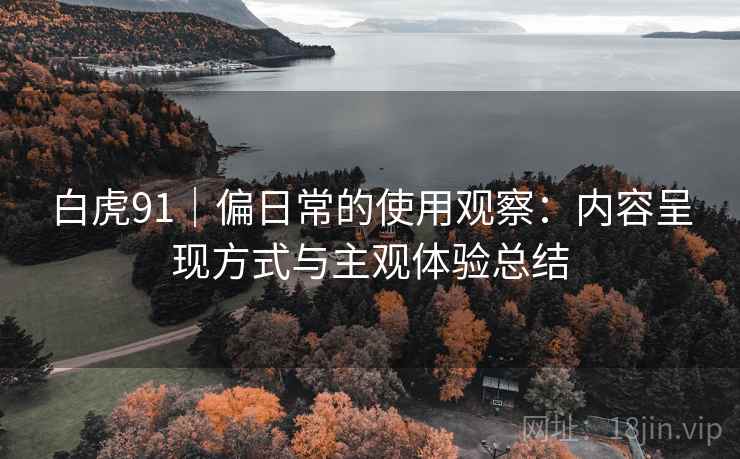 白虎91|偏日常的使用观察:内容呈现方式与主观体验总结 第2张 白虎91|偏日常的使用观察:内容呈现方式与主观体验总结 第2张