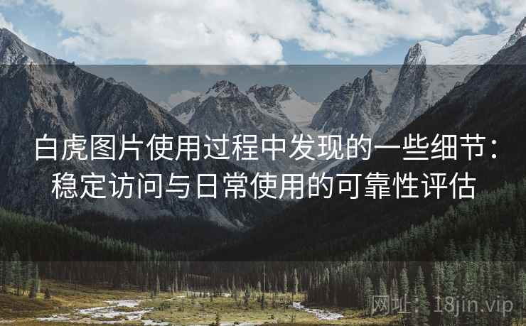 白虎图片使用过程中发现的一些细节:稳定访问与日常使用的可靠性评估 第1张 白虎图片使用过程中发现的一些细节:稳定访问与日常使用的可靠性评估 第1张