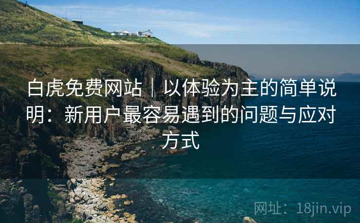 白虎免费网站|以体验为主的简单说明:新用户最容易遇到的问题与应对方式 第1张 白虎免费网站|以体验为主的简单说明:新用户最容易遇到的问题与应对方式 第1张