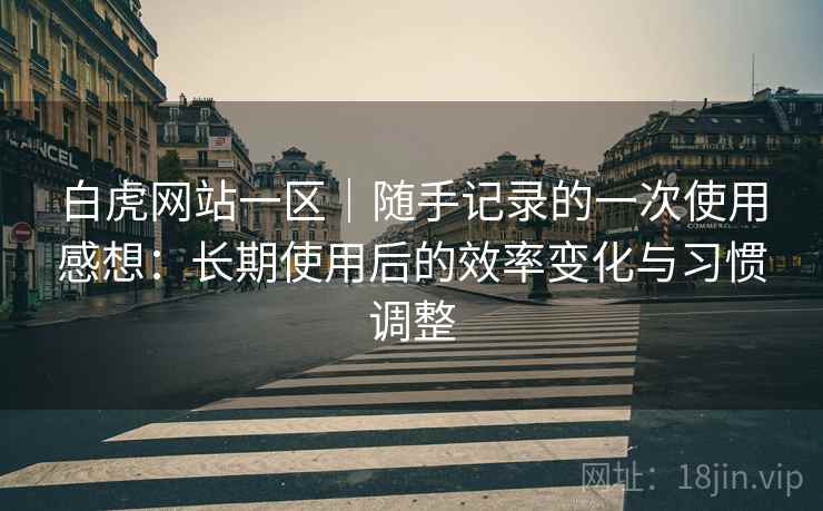 白虎网站一区｜随手记录的一次使用感想：长期使用后的效率变化与习惯调整  第1张