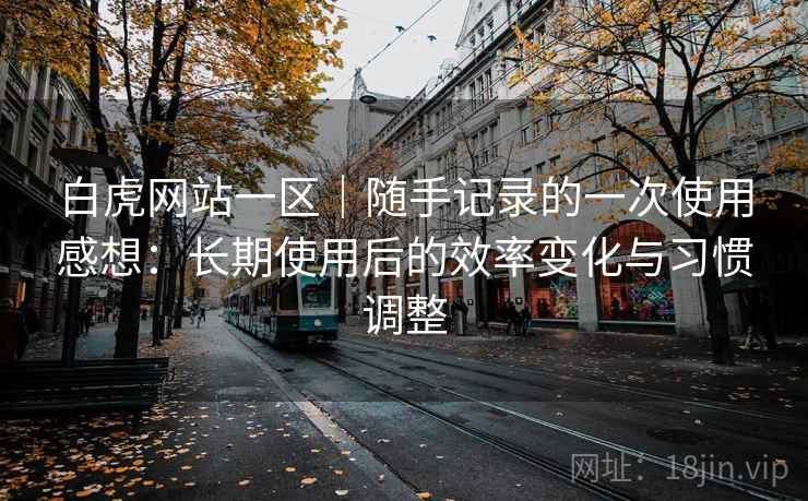 白虎网站一区｜随手记录的一次使用感想：长期使用后的效率变化与习惯调整  第2张